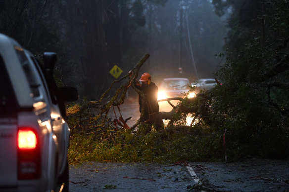 Storm damage at Ferny Creek last week. Thousands are still without power almost five days on. 