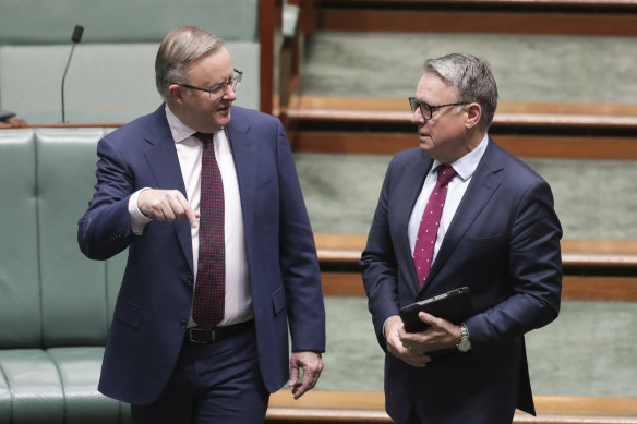 Anthony Albanese and Joel Fitzgibbon in 2020.