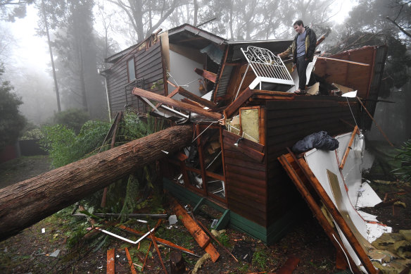 James Pickford was lucky to escape after a large tree smashed through his bedroom, missing his bed by less than a metre in Olinda. 