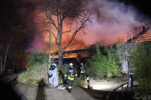 Firefighters in front of the burning monkey house at Krefeld Zoo, Germany on Wednesday.