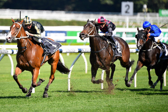 Snitz tears away from his rivals at Randwick last month.