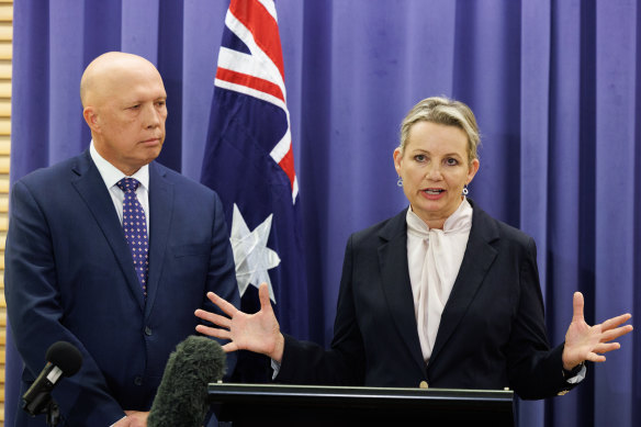 New deputy leader of the Liberal party, Sussan Ley, addressing the media today.