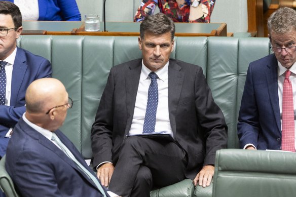 Shadow treasurer Angus Taylor during question time.