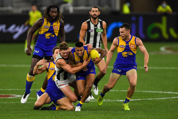 West Coast Eagles vs Collingwood Tips, Preview & Odds