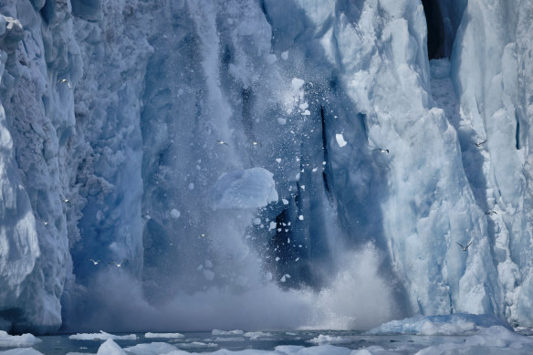 A glacier calving ice in Svalbard.