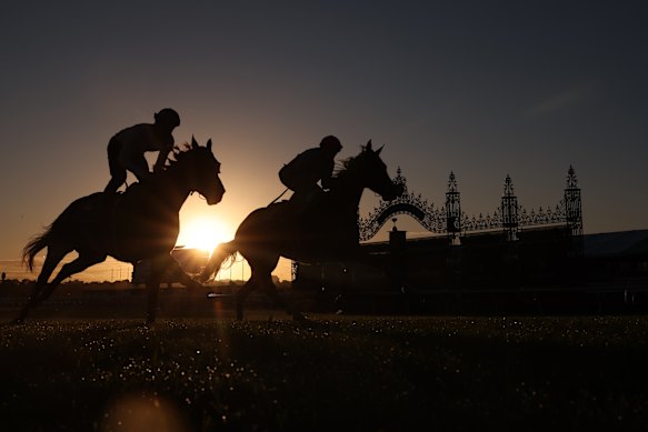 James McDonald riding St Gotthard and Jye McNeil aboard Steel Will at Flemington trackwork on Tuesday morning.