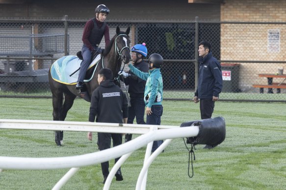 The Australian Turf Club have good reason to cheer Ascoli Piceno to victory in Saturday’s Golden Eagle.