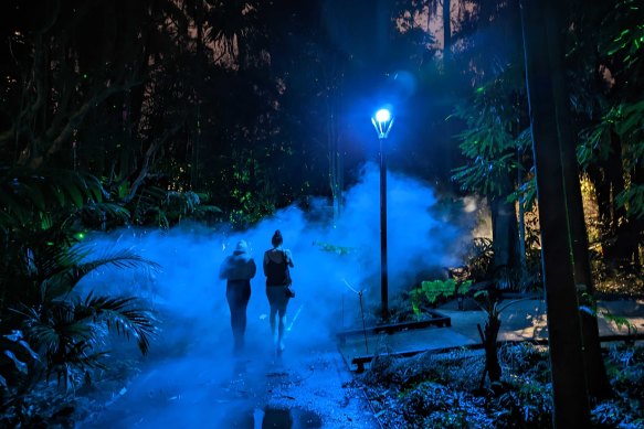 A moody section of the Lightscape show at Brisbane’s City Botanic Gardens.