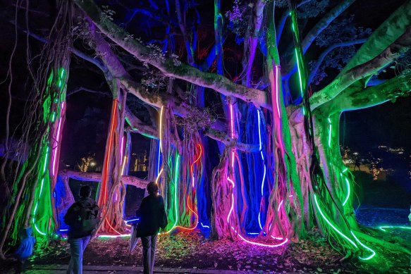 A tree draped in lights is part of the immersive Lightscape journey.