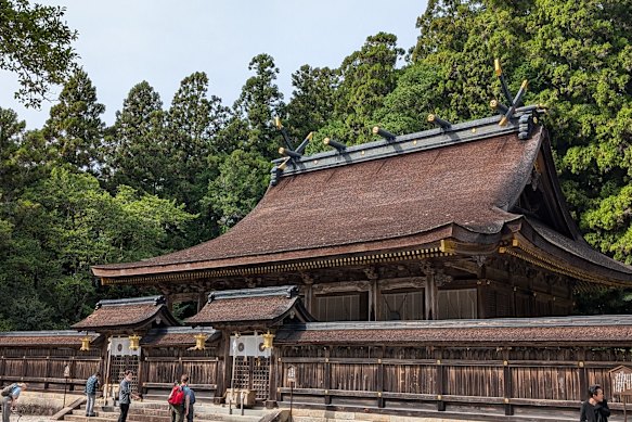 Tisha tisha sanctuary.