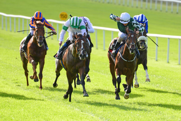 Golden Eagle raider Law of Indices (left) scores at the Curragh last year.