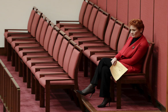 Pauline Hanson in the Senate earlier this year.