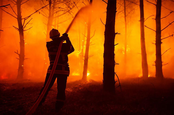 A firefighter puts water on a trees at a forest fire at La Test-de-Buch, southwestern France in July 2022. 