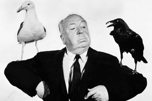 Alfred Hitchcock could learn a thing or two from the birds of Canberra about horrifying behaviour.