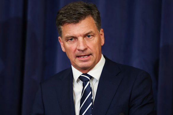 Angus Taylor immigration policy: Opposition leader claims ...