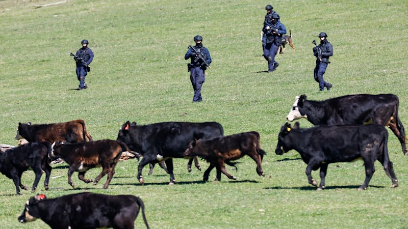 Innocent family sue police over raid, arrest in Dezi Freeman manhunt