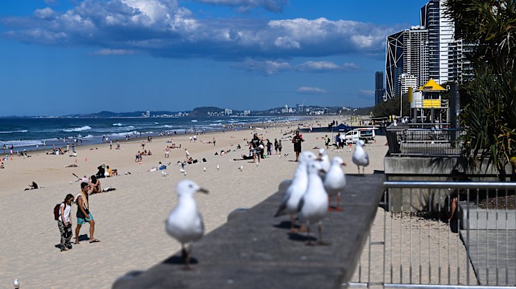 smh.com.au - Carmen Forward - The South East Queensland suburbs where sea-changers are flocking