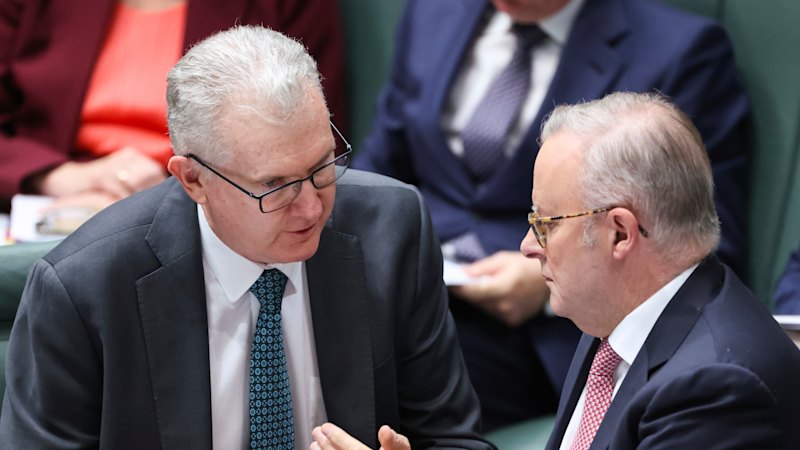 Albanese responds to cancelled Burke speech with new migration policy push