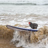 No, honey, you aren’t seeing things, that chicken really IS surfing