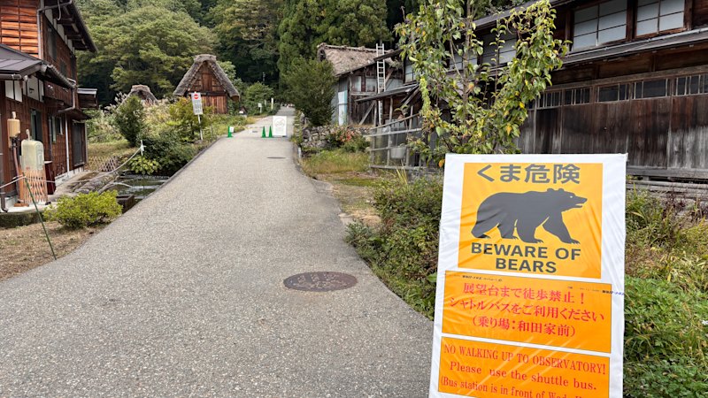 Japan calls in the army to tackle deadly bears