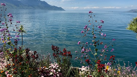 Julia Pound shared images from her holiday in the Alps and her followers assumed they were AI-generated. 