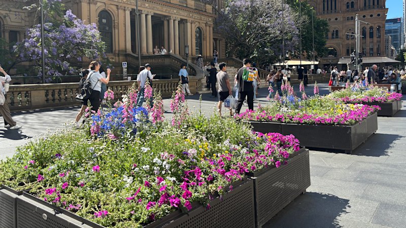 Council flower power spend emits a bad bouquet