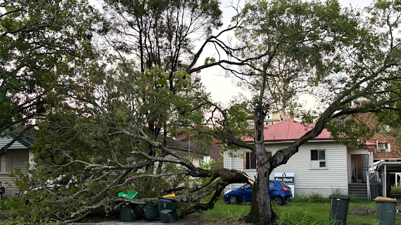 Power could take ‘day or two’ to come back as SEQ braces for more wild storms