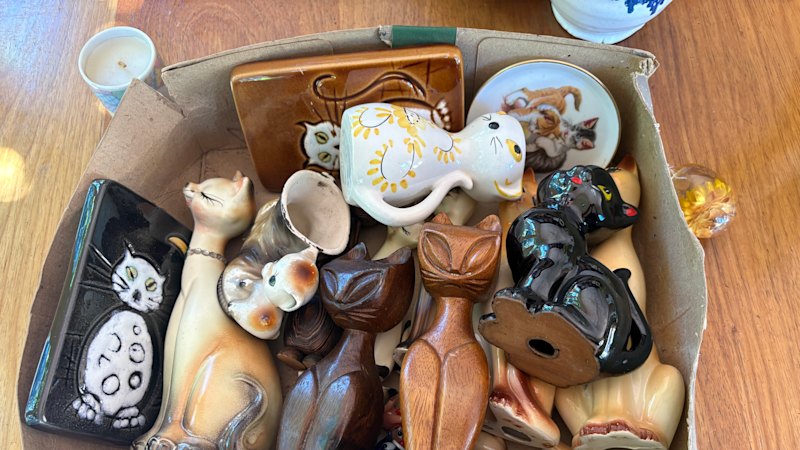 Downsizing without adding to landfill? I’m giving it a red-hot go