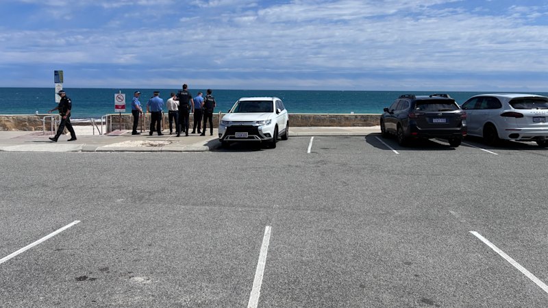 ‘Extraordinary step’: Shark that killed 63-year-old Perth swimmer to be destroyed