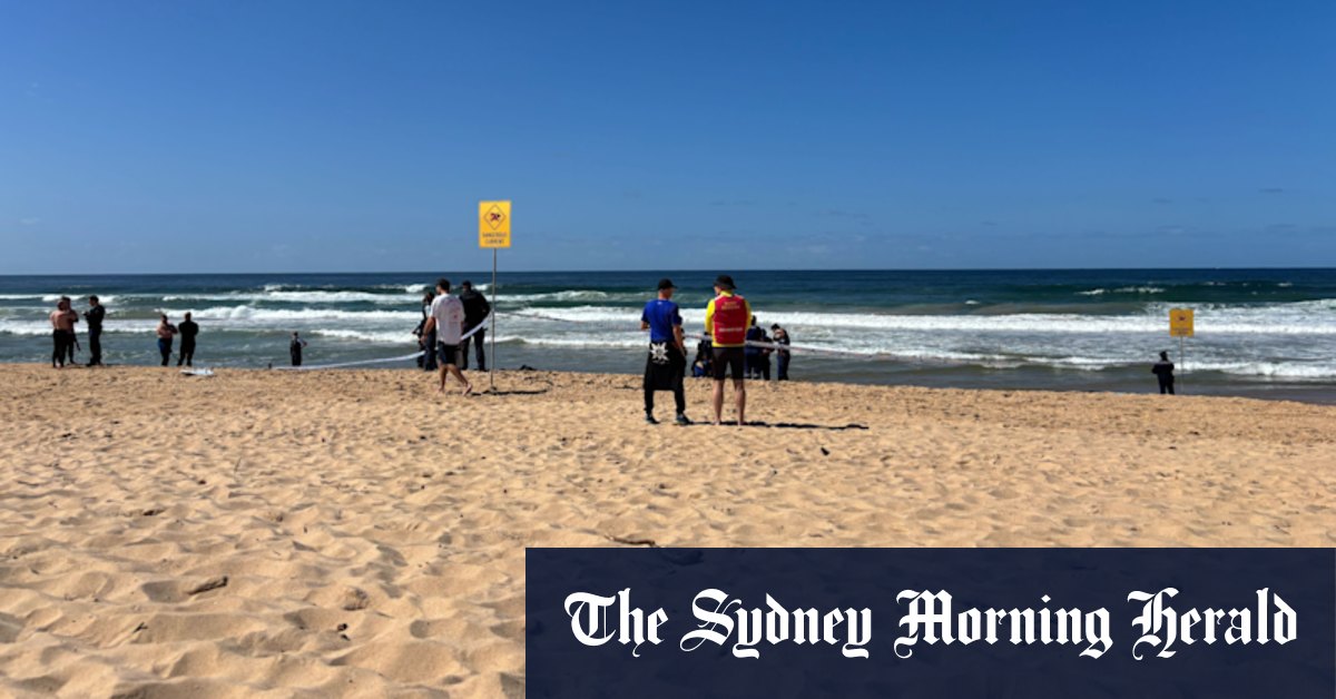 Person dies in shark attack on northern beaches