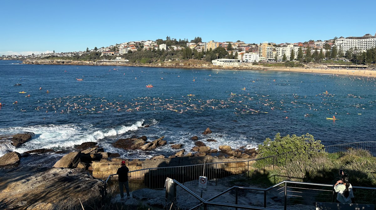 Hundreds gather for ocean swim after shark attack