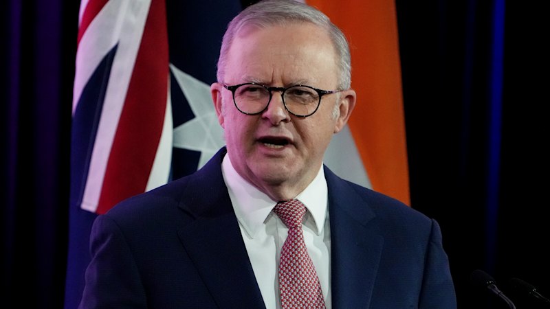 Albanese in charge of AI revolution as 200 experts release dire warning