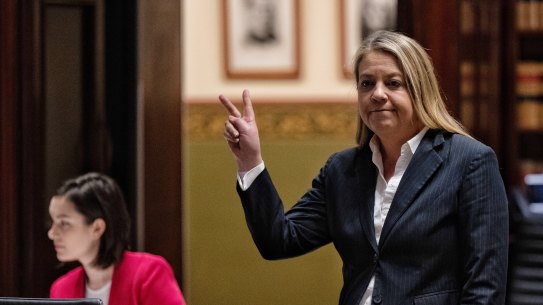 Jenny West appears before the parliamentary inquiry on Monday.