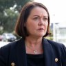 Pressure on McGowan as Harvey attacks Labor's integrity over 'hard border' claims