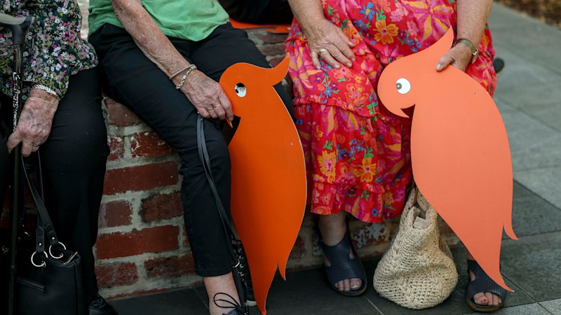 ‘We’re just showing our support for Helen’: Wangaratta turns orange for Haines