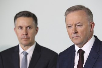 Shadow Minister for Health and Ageing Mark Butler and Opposition Leader Anthony Albanese.