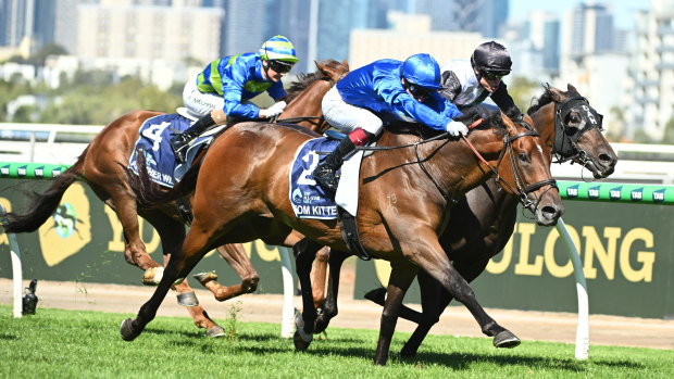 Tom Kitten comes into the George Ryder in great form after his last-start win in the All-Star Mile.