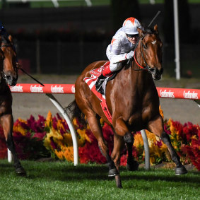 Loving Gaby explodes to victory in the William Reid Stakes at Moonee Valley.