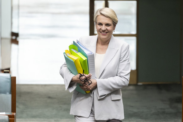 Minister for the Environment and Water Tanya Plibersek defends the government on its handling of the naval incident.