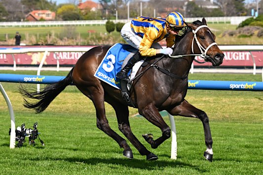 Blake Shinn has won his last two from two on Blind Raise ahead of the Caulfield Guineas.
