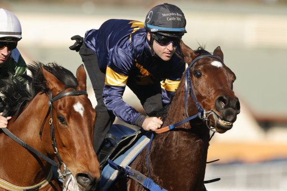 Tommy Berry with a good hold on Masked Crusader at this week's barrier trials.