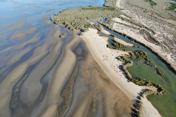 Mangroves meets sand flats in Exmouth Gulf, neighbouring Ningaloo. 