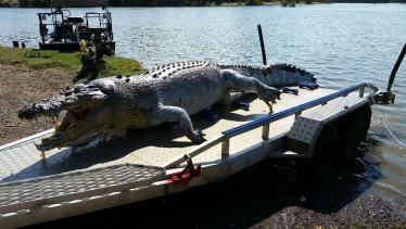 Man Charged Over Death Of Giant Queensland Croc