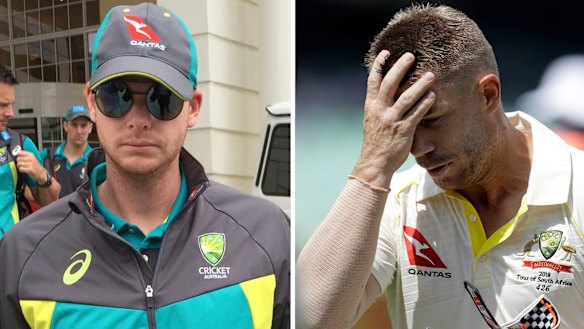 Stood down from leadership positions: Steve Smith and David Warner