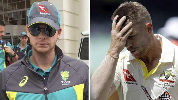 Stood down from leadership positions: Steve Smith and David Warner