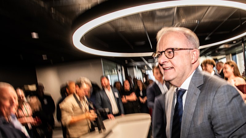 ‘He could be a bit bolder’: What Albo could learn from Whitlam