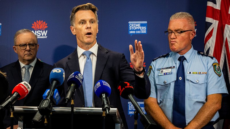 Urgent gun law overhaul would boost Albanese’s credibility