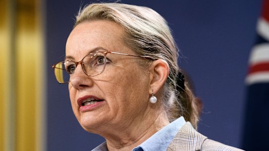 Deputy Liberal leader Sussan Ley.