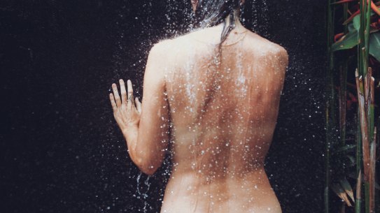 The vagus nerve is the main component of the parasympathetic nervous system.