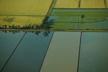 The new platform will help farmers improve returns and be more sustainable